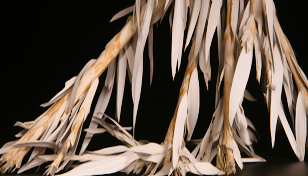 Cruralgie : que savoir ?
